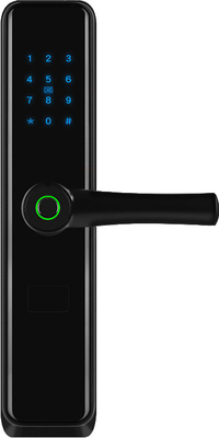 Bluetooth-Fingerabdruck-intelligentes Code-Smart-Türschloss-biometrische Fernbedienung