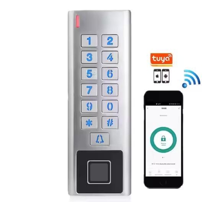 Tuya App Wasserdichtes Metallgehäuse WIFI RFID Smart Lock Fingerabdruck Zugangskontrolle