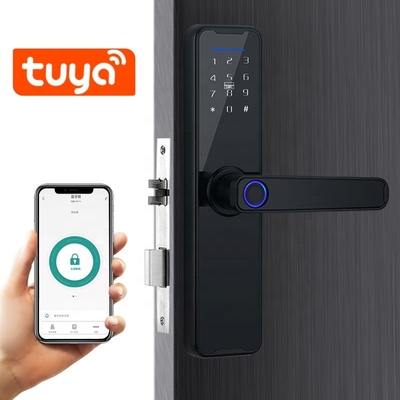 Fingerabdruck-Passwort-elektromagnetischer Verschluss intelligentes Tuya 300ma 4.5V